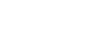 VNGR autopesula logo